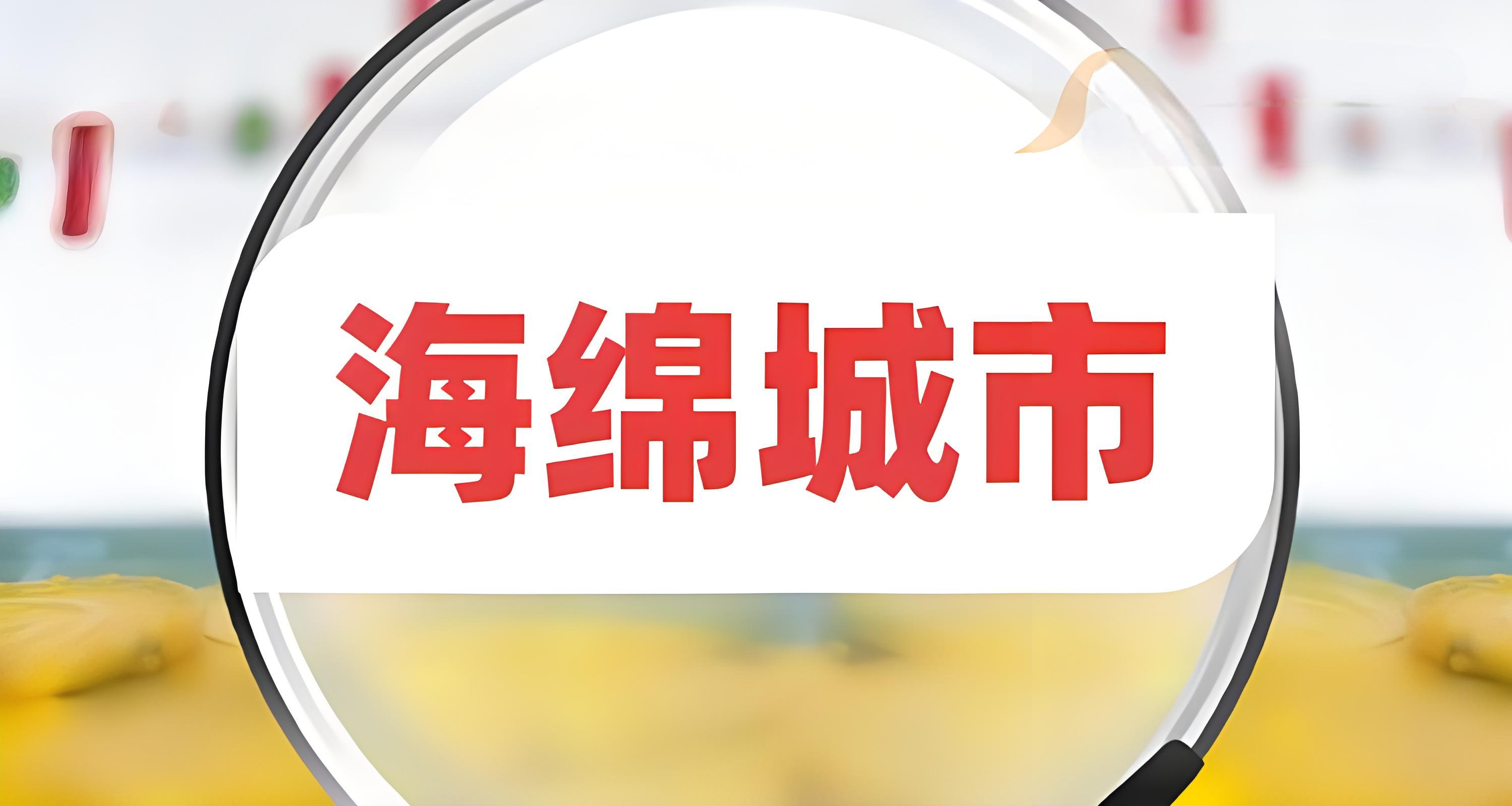 海綿城市 海綿城市